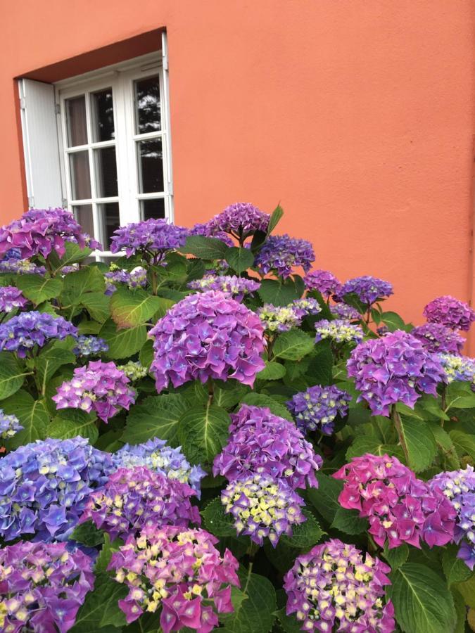 Hotel La Belle Etoile Thouaré-sur-Loire 외부 사진